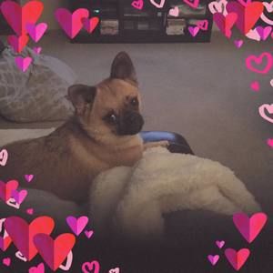 Meet your Posher, Trish